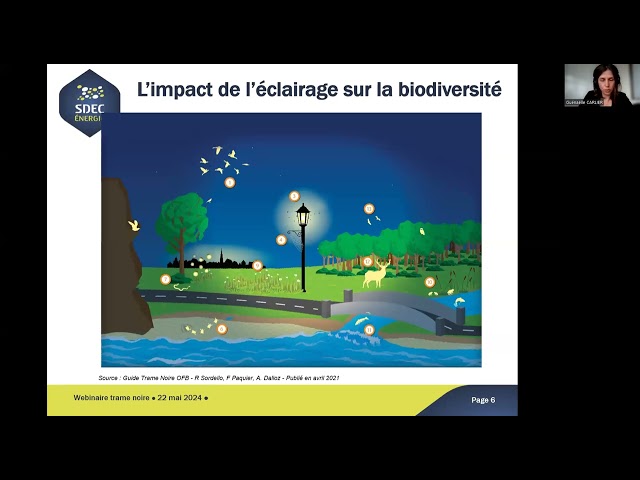 Vignette — Webinaire 